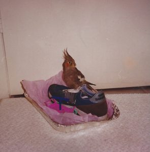 Serena in shoe 1