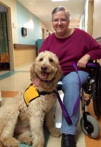 The inspiring story of Daisy the Goldendoodle